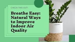 Indoor Air Safer